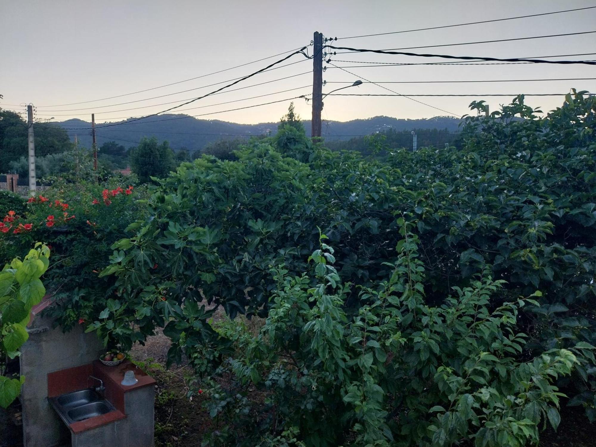 El Jardin De Dora Chalet A 10 Minutos De Blanes Tordera Ngoại thất bức ảnh