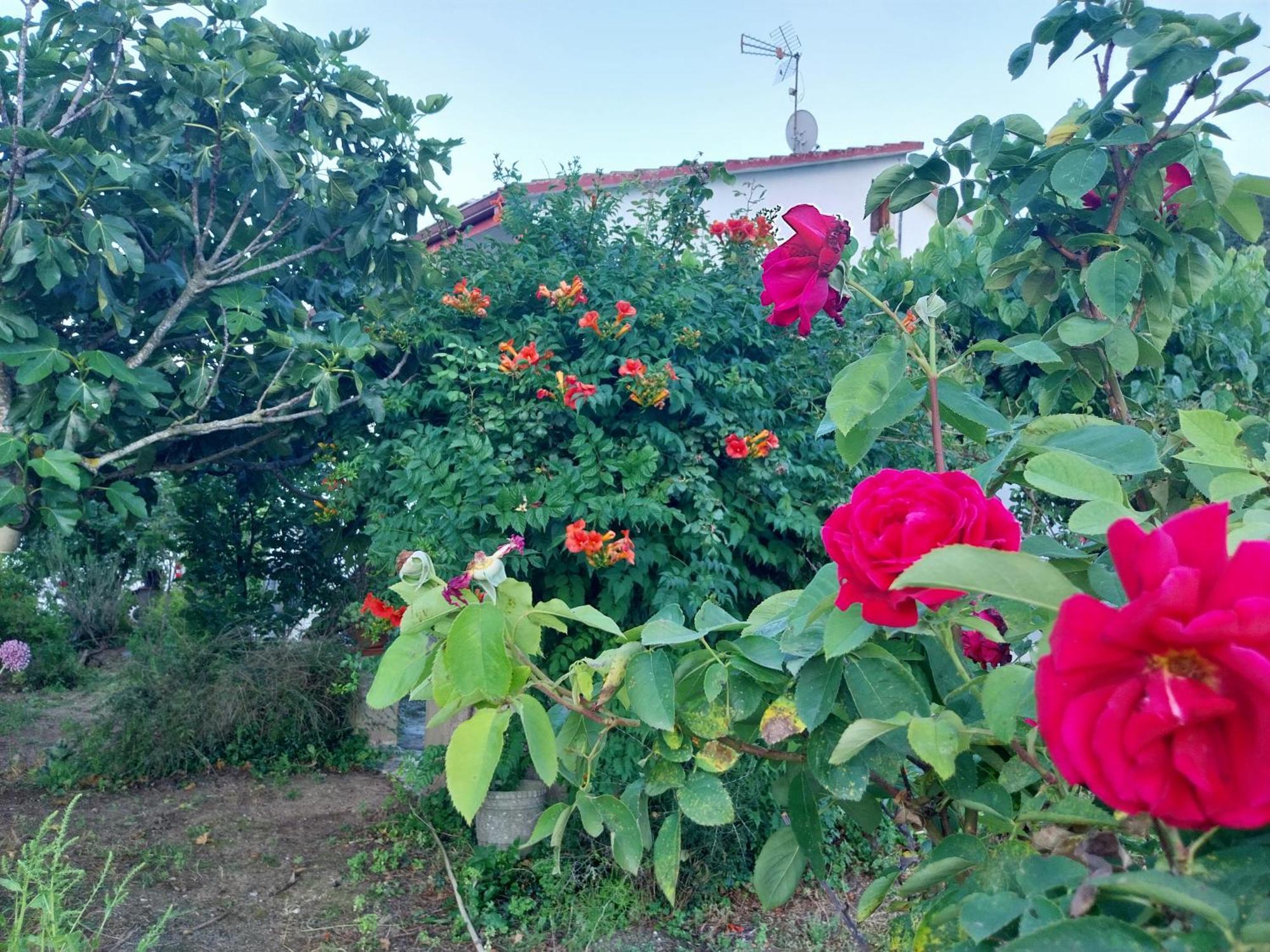 El Jardin De Dora Chalet A 10 Minutos De Blanes Tordera Ngoại thất bức ảnh