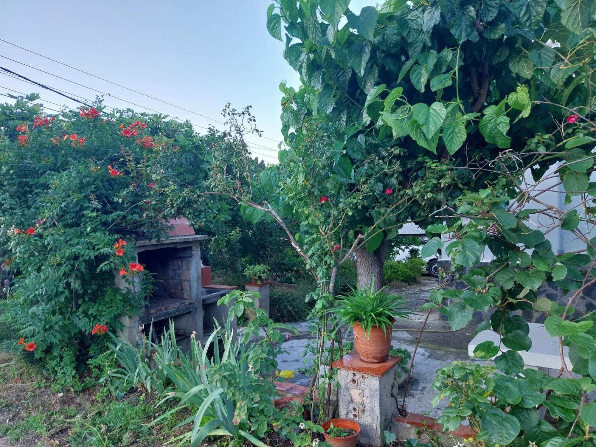 El Jardin De Dora Chalet A 10 Minutos De Blanes Tordera Ngoại thất bức ảnh